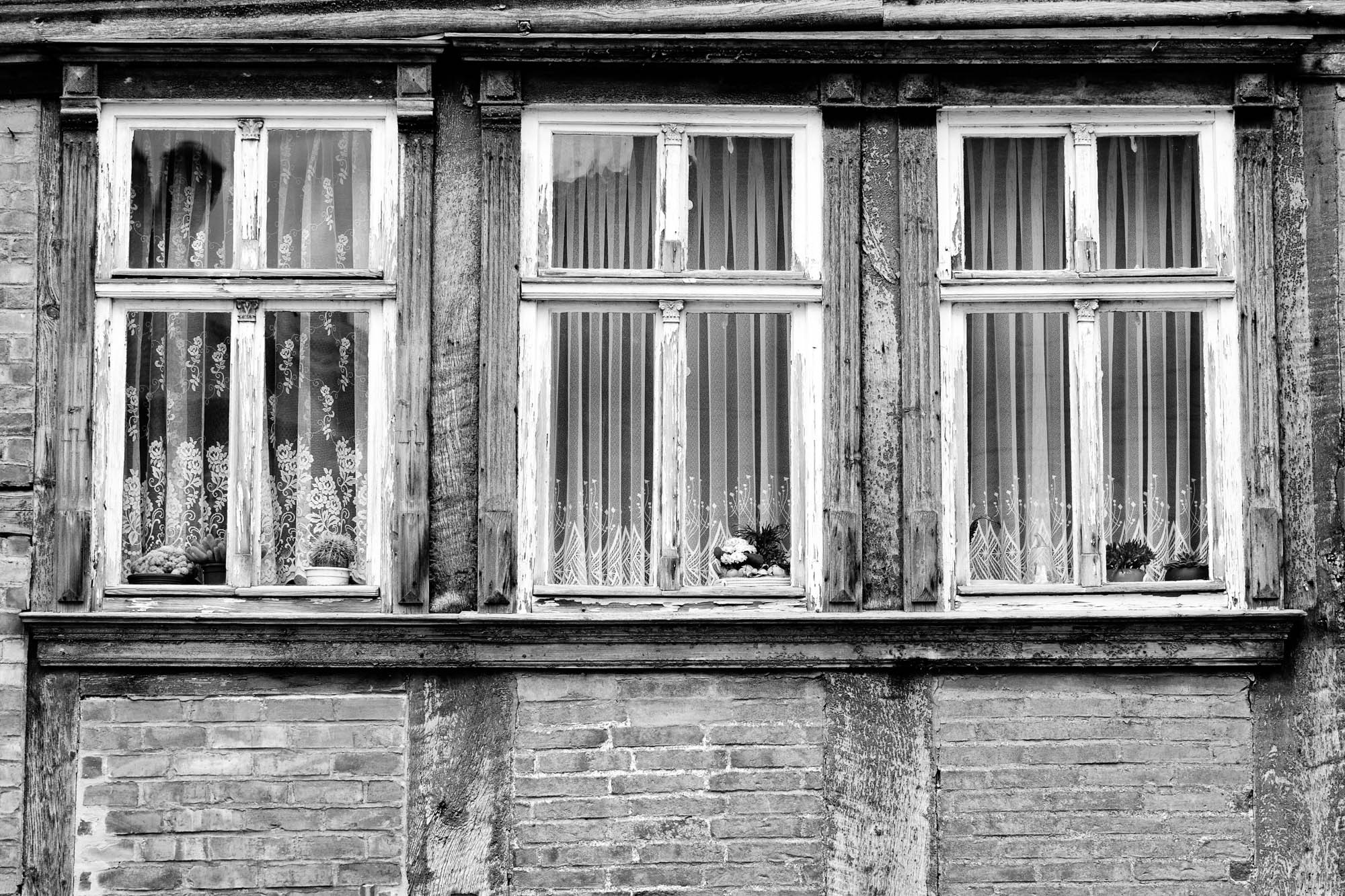 Fenster in Osterwieck