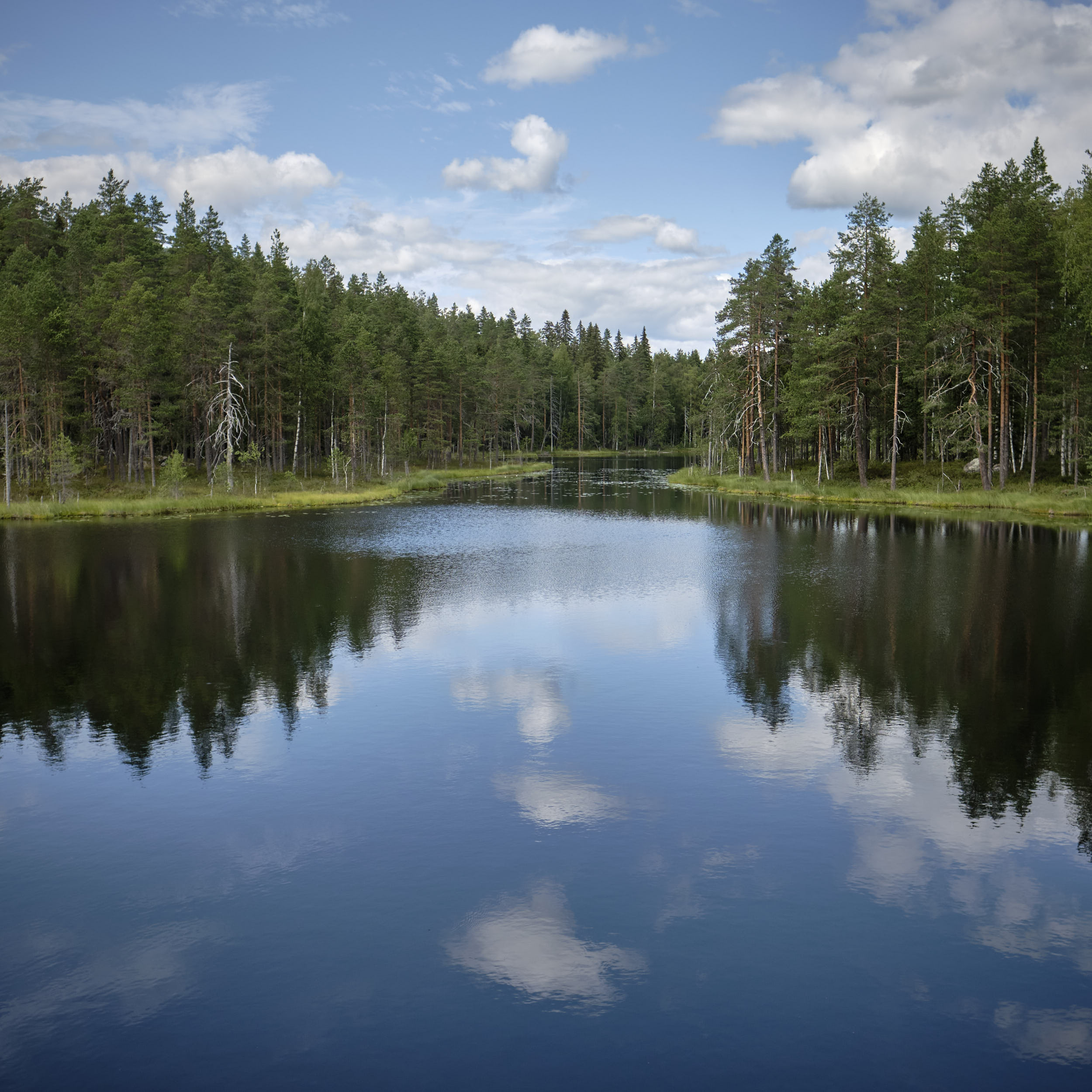 Isojärvi Nationalpark Finnland