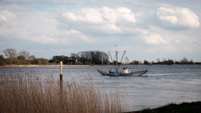 An der Weser